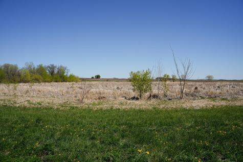 Tbd 125th Street Dalton MN 56324