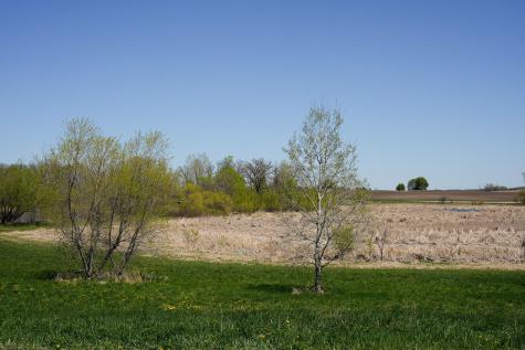 Tbd 125th Street Dalton MN 56324