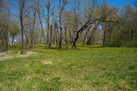 Tbd 125th Street Dalton MN 56324