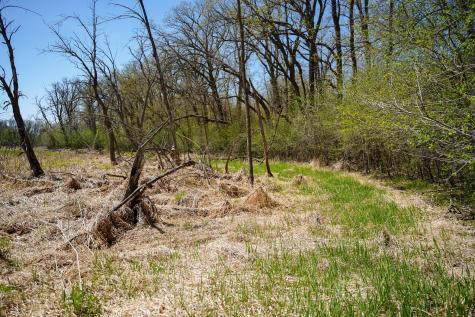 Tbd 125th Street Dalton MN 56324