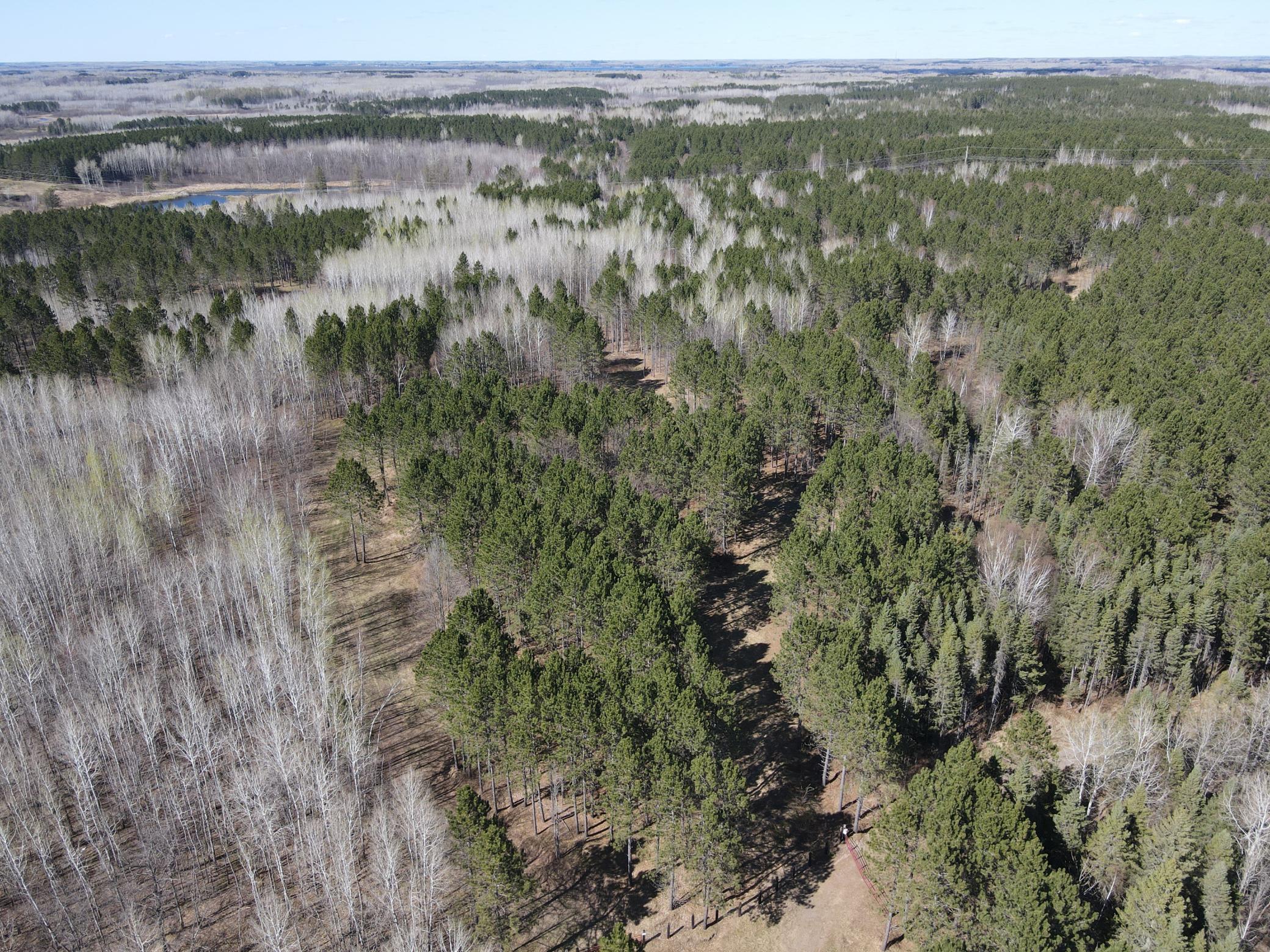Tbd (280AC) Maple Grove Road Cloquet MN 55720