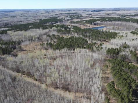 Tbd (280AC) Maple Grove Road Cloquet MN 55720