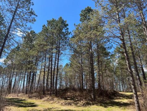 Tbd (280AC) Maple Grove Road Cloquet MN 55720