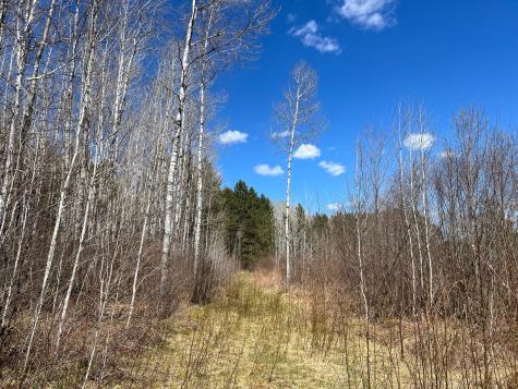 Tbd (280AC) Maple Grove Road Cloquet MN 55720