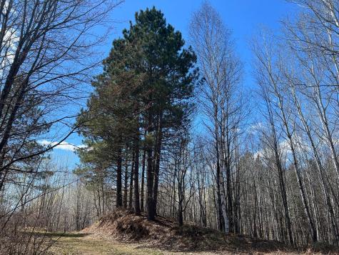 Tbd (280AC) Maple Grove Road Cloquet MN 55720