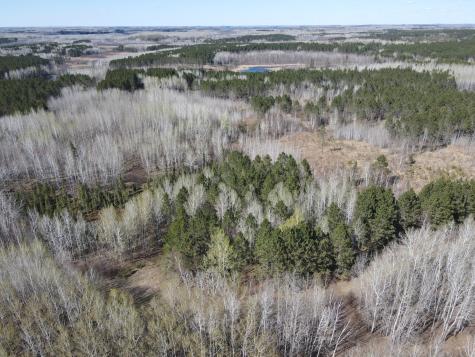 Tbd (280AC) Maple Grove Road Cloquet MN 55720