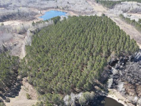 Tbd (280AC) Maple Grove Road Cloquet MN 55720