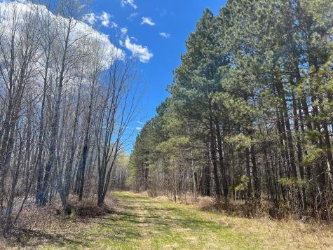 Tbd (280AC) Maple Grove Road Cloquet MN 55720