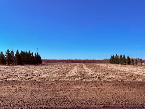 Lot 2 Badger Rd NW Baudette MN 56623