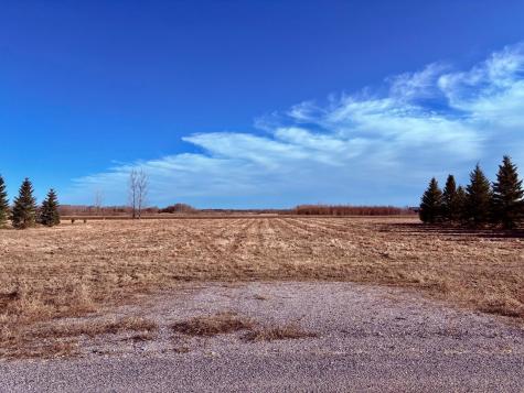 Lot 2 Badger Rd NW Baudette MN 56623