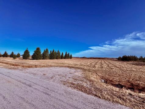 Lot 2 Badger Rd NW Baudette MN 56623