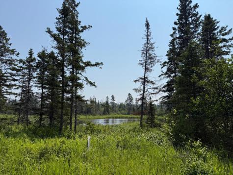 3437 Blueberry Hill Road Two Harbors MN 55616