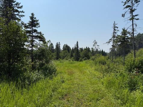 3437 Blueberry Hill Road Two Harbors MN 55616