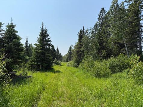 3437 Blueberry Hill Road Two Harbors MN 55616