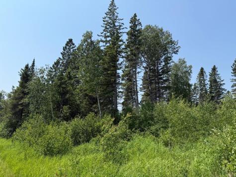 3437 Blueberry Hill Road Two Harbors MN 55616