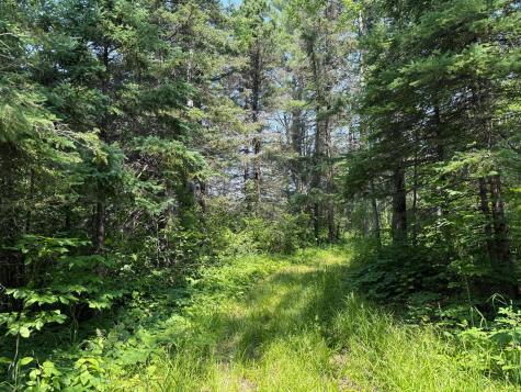 3437 Blueberry Hill Road Two Harbors MN 55616