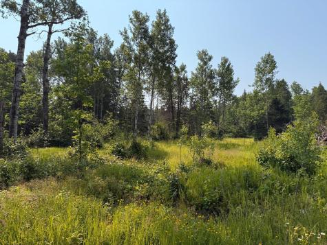 3437 Blueberry Hill Road Two Harbors MN 55616