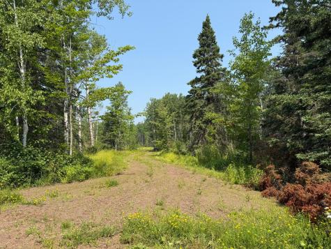 3437 Blueberry Hill Road Two Harbors MN 55616