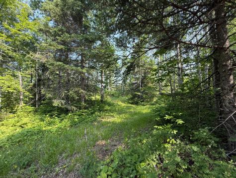 3437 Blueberry Hill Road Two Harbors MN 55616