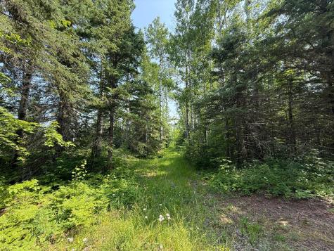 3437 Blueberry Hill Road Two Harbors MN 55616