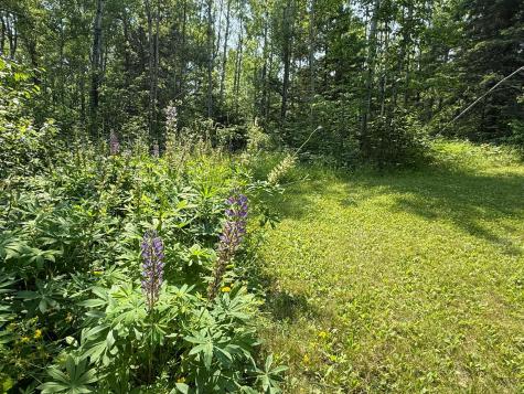 3437 Blueberry Hill Road Two Harbors MN 55616