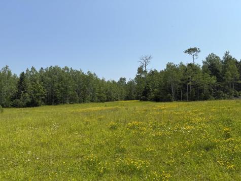 3437 Blueberry Hill Road Two Harbors MN 55616