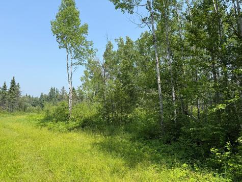 3437 Blueberry Hill Road Two Harbors MN 55616