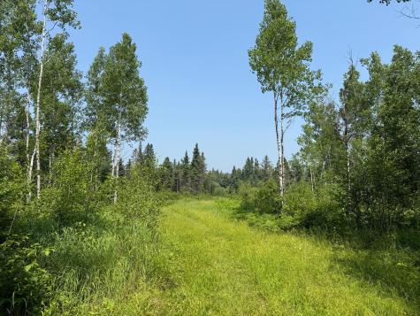 3437 Blueberry Hill Road Two Harbors MN 55616