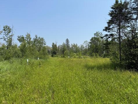 3437 Blueberry Hill Road Two Harbors MN 55616