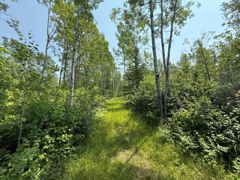 3437 Blueberry Hill Road Two Harbors MN 55616