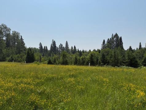 3437 Blueberry Hill Road Two Harbors MN 55616
