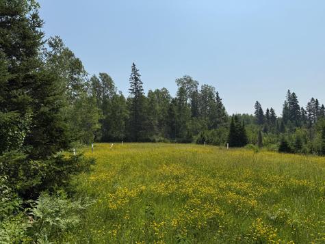 3437 Blueberry Hill Road Two Harbors MN 55616