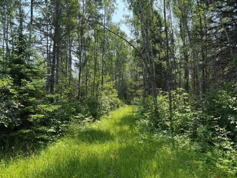 3437 Blueberry Hill Road Two Harbors MN 55616