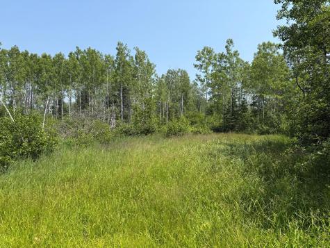 3437 Blueberry Hill Road Two Harbors MN 55616