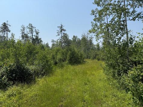 3437 Blueberry Hill Road Two Harbors MN 55616