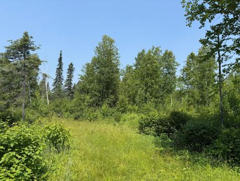 3437 Blueberry Hill Road Two Harbors MN 55616