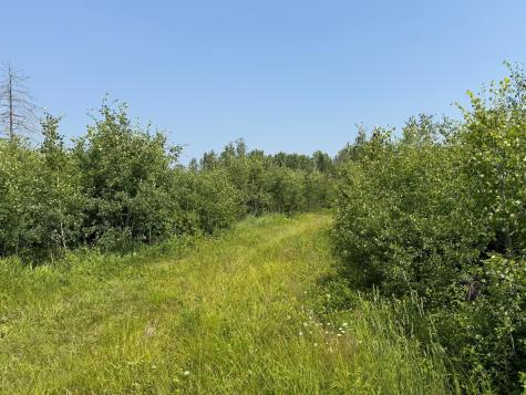 3437 Blueberry Hill Road Two Harbors MN 55616