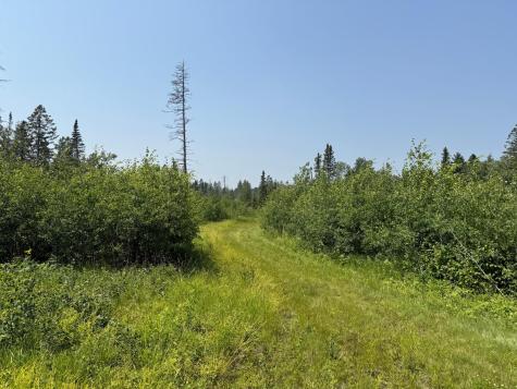 3437 Blueberry Hill Road Two Harbors MN 55616
