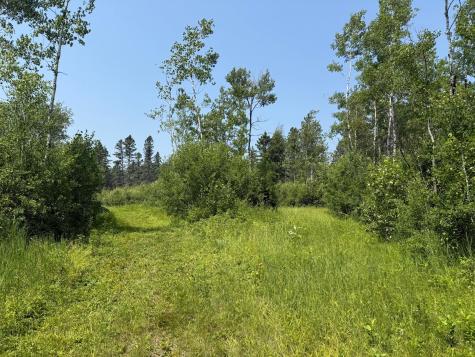 3437 Blueberry Hill Road Two Harbors MN 55616