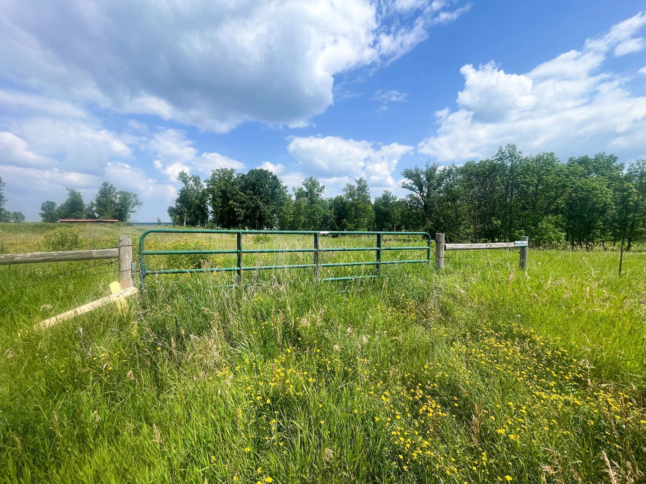 Tbd Great Divide Road NW Puposky MN 56667