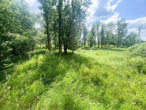 Tbd Great Divide Road NW Puposky MN 56667