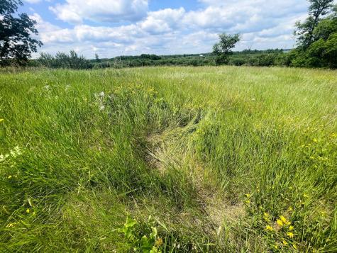 Tbd Great Divide Road NW Puposky MN 56667