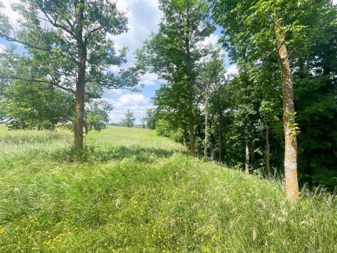 Tbd Great Divide Road NW Puposky MN 56667