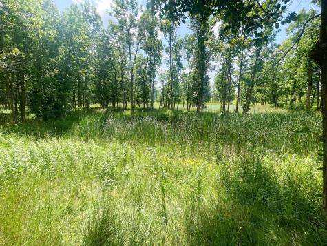 Tbd Great Divide Road NW Puposky MN 56667