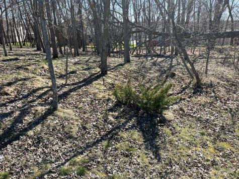1127 Doris Kohler Circle Detroit Lakes MN 56501