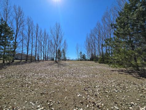 Tbd Sunnybrook Drive Vergas MN 56587
