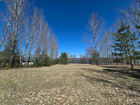 Tbd Sunnybrook Drive Vergas MN 56587