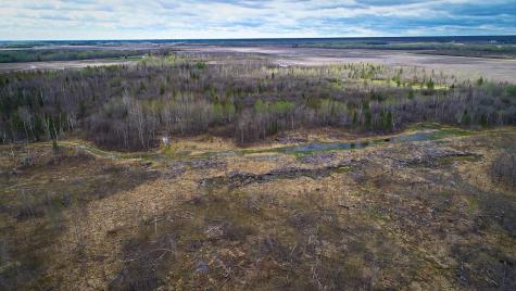 Tbd State Hwy 172 Cliff Baudette MN 56623