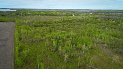 Tbd State Hwy 172 Cliff Baudette MN 56623