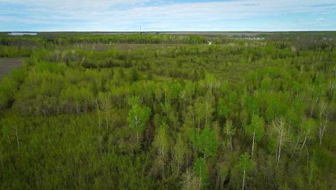 Tbd State Hwy 172 Cliff Baudette MN 56623